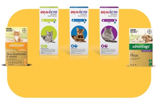 Atlantic Pet Products - We love pets