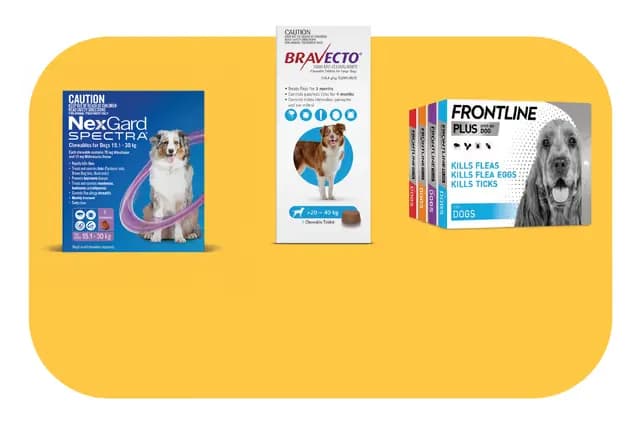 Atlantic Pet Products - About Us